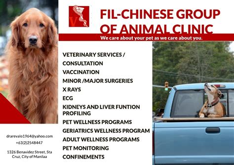 fil chi animal clinic|Doctors in Fil.